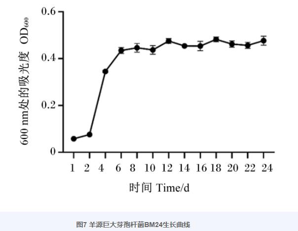 巨大芽孢桿菌BM24生長曲線、耐藥性、益生潛力評估及藥敏試驗（四）