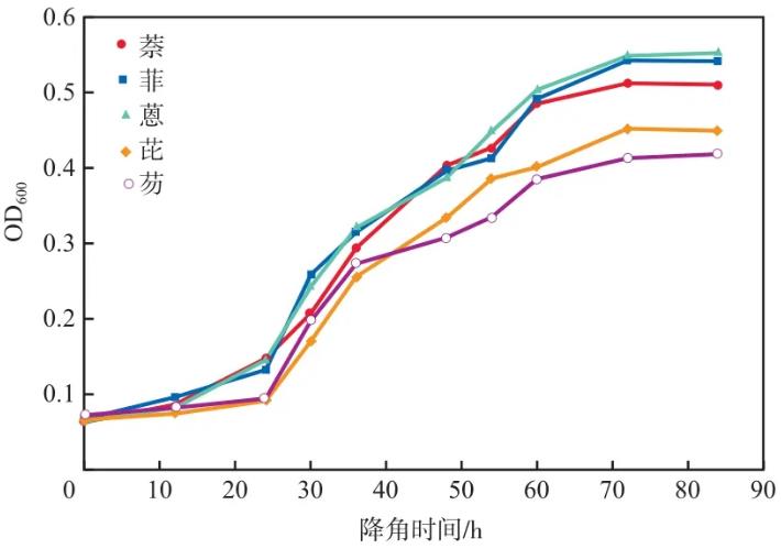 高效萘降解菌N-3生長曲線、脫氫酶活性的測定——結果、結論