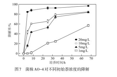 焦化污染場(chǎng)地中萘降解菌株AO-4鑒定、生長(zhǎng)、降解機(jī)理及環(huán)境條件帶來的影響（四）
