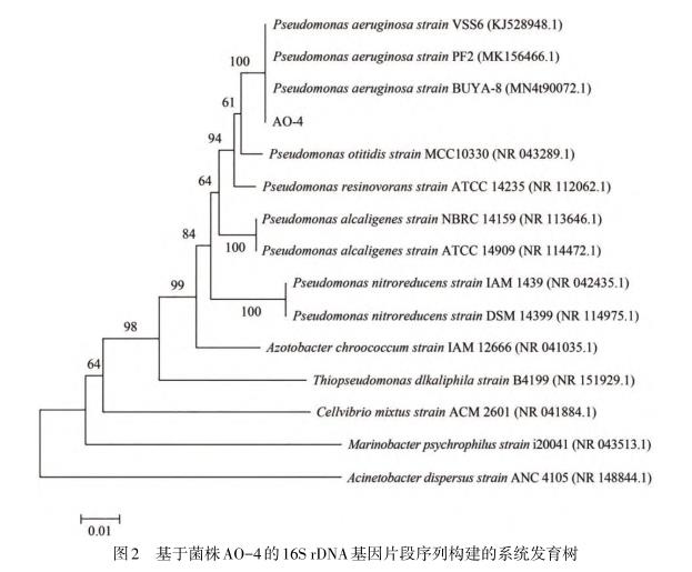 焦化污染場(chǎng)地中萘降解菌株AO-4鑒定、生長(zhǎng)、降解機(jī)理及環(huán)境條件帶來的影響（二）