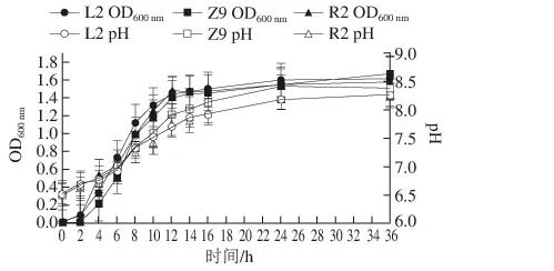 適用于低鹽發酵香腸葡萄球菌與乳酸菌生長特性及產酸能力測定及篩選（四）