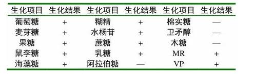 水貂李氏桿菌的分離鑒定、生化試驗、藥敏實驗、毒力試驗——材料與方法