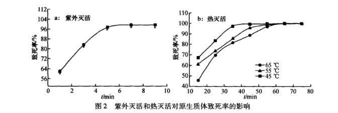 羅爾阿太菌生長曲線、原生質體制備條件及融合技術（三）