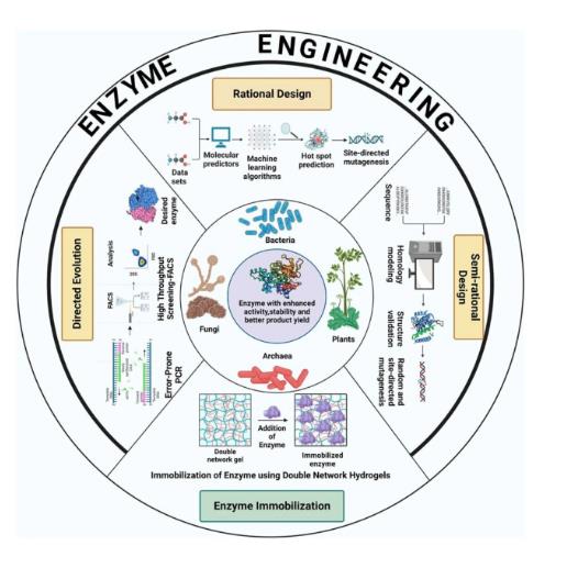 極端微生物和極端酶的分離過程與潛在應用