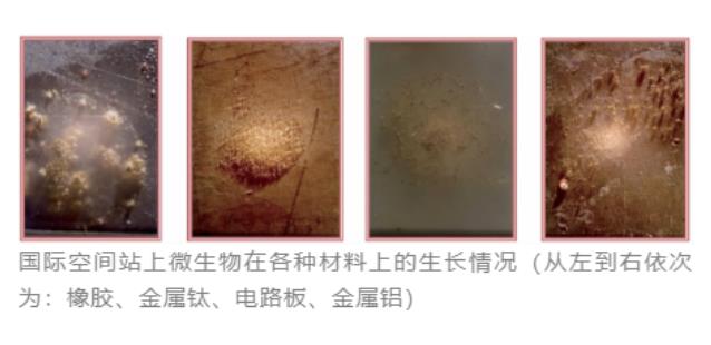 空間站微生物來自哪里？微生物培養法檢測技術