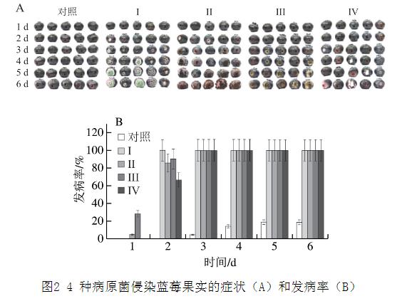25種天然植物精油對藍莓致病菌生長曲線、抑制作用（二）