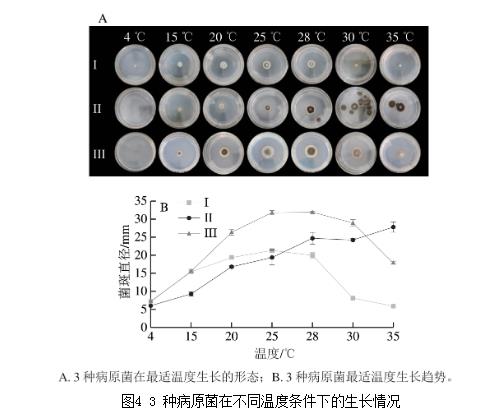25種天然植物精油對藍莓致病菌生長曲線、抑制作用（三） 