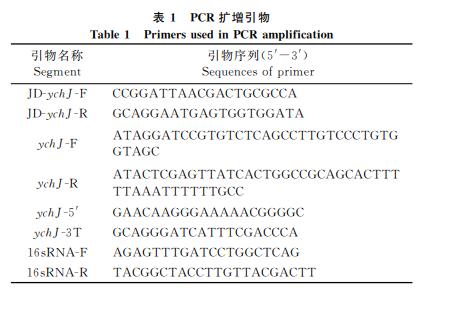 生長曲線測定法和菌落計數法確定YchJ對鼠傷寒沙門菌抗逆能力的影響——摘要