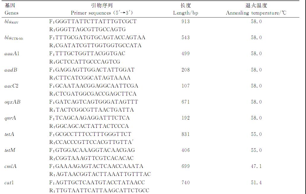 鵪鶉肺炎克雷伯菌血清型鑒定、耐藥性檢測及致病潛力（一）