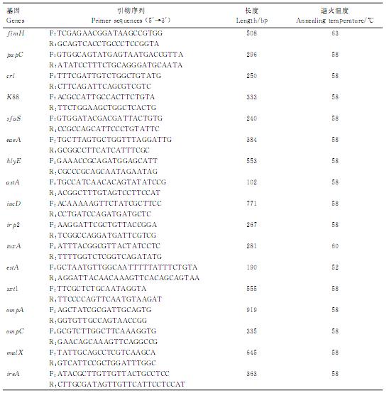 鵪鶉肺炎克雷伯菌血清型鑒定、耐藥性檢測及致病潛力（二）