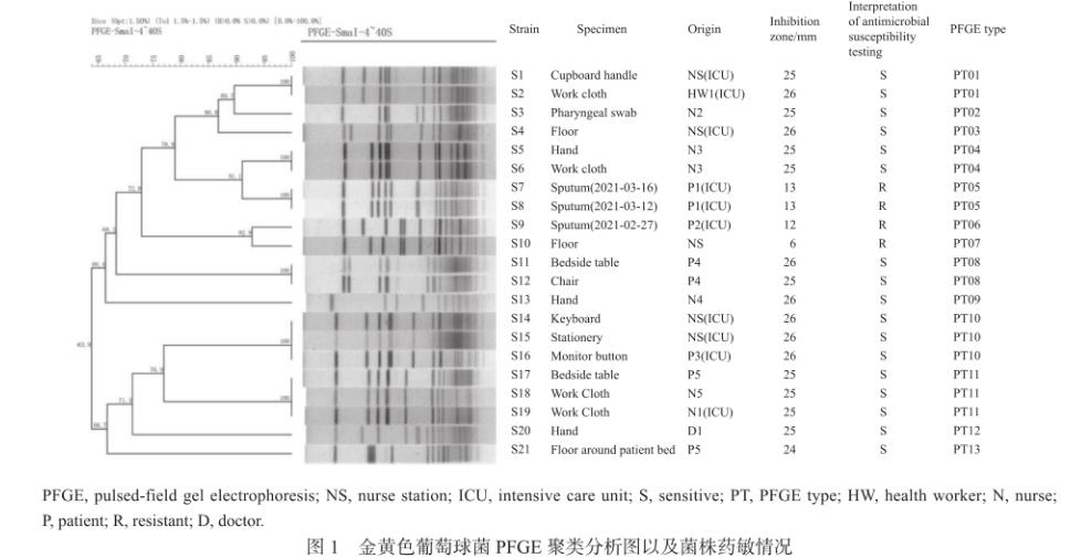 金黃色葡萄球菌PFGE分型、分布特征及藥敏情況（二）