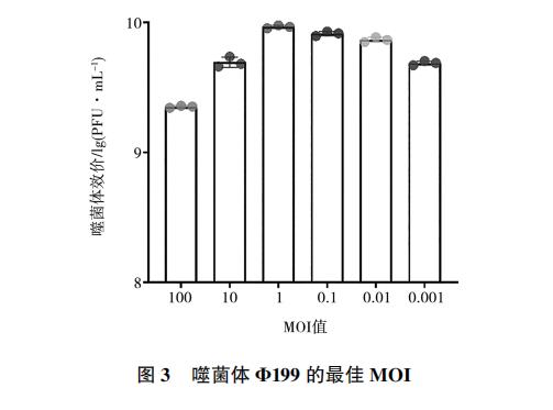 大腸桿菌噬菌體Φ199一步生長曲線、與鹽酸克林霉素體外聯(lián)合應(yīng)用效果（二）