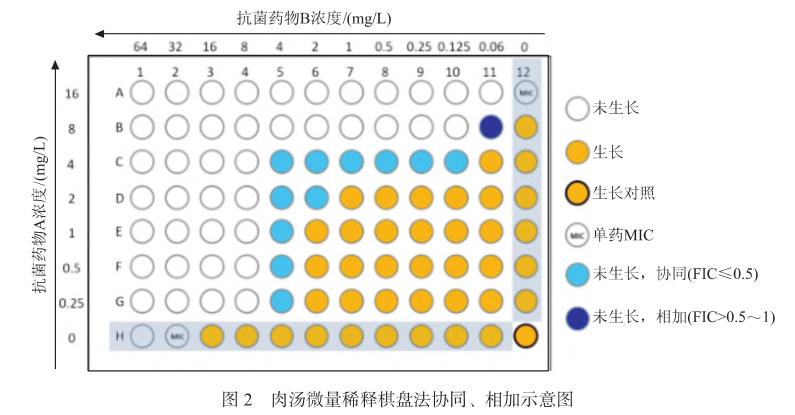 碳青霉烯類耐藥革蘭陰性菌聯合藥敏試驗方法學、流程、優缺點和結果判讀（二）