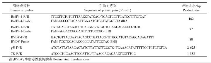 國內新發病原牛皰疹病毒4型(BoHV-4)qPCR鑒定、分離及一步生長曲線測定（一）