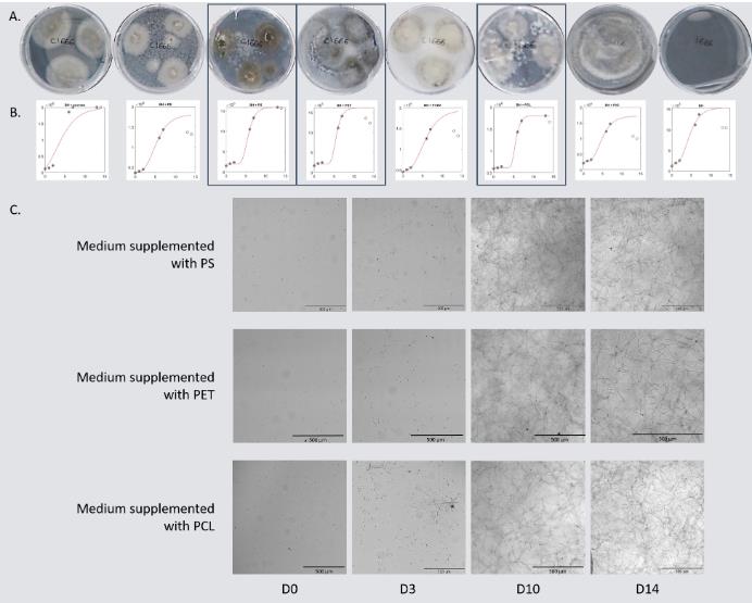微生物生長曲線監測系統研究海洋環境中塑料上真菌群落的定植和生物降解潛力