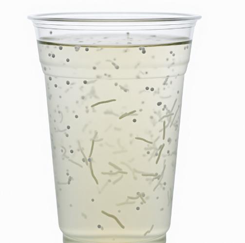 食品飲料加工用無菌化管道評(píng)估調(diào)試，也得監(jiān)測(cè)細(xì)菌生長(zhǎng)曲線？