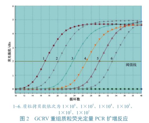 草魚呼腸孤病毒培養與滴度測定、及在草魚、CIK細胞上的生長特性研究（三）