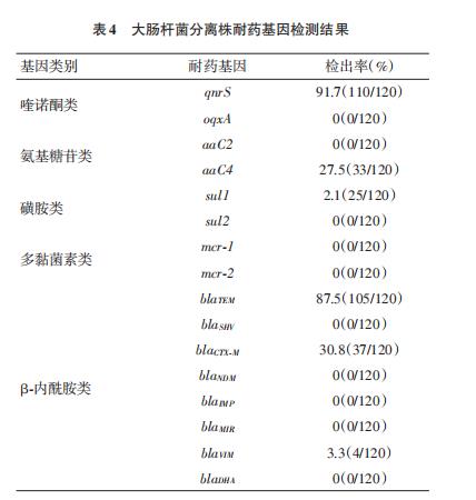 鴿源大腸桿菌分離株對13種抗菌藥物耐藥現狀研究（三）