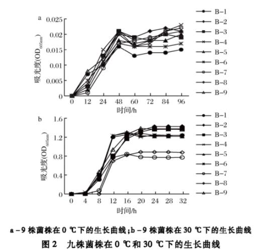 生食大眼金槍魚中生物胺產生菌分離純化、菌落總數、生長曲線及形狀鑒定（二）