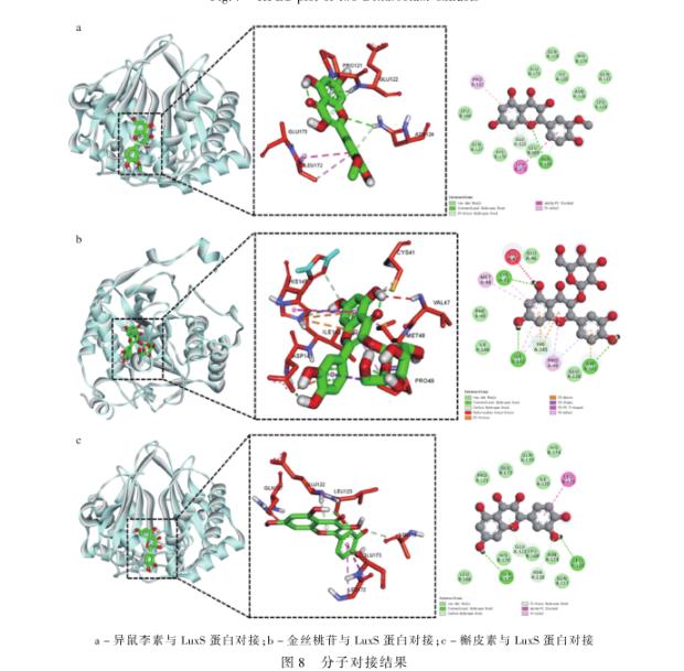 鐵皮、疊鞘石斛提取物對沙門氏菌生長狀況、群體運動的影響——結論與討論、結論