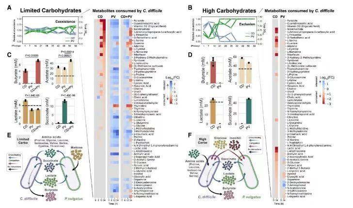 量化人類腸道菌種對艱難梭菌長期生長的影響（二）