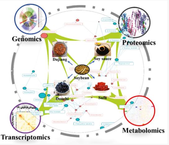 發酵豆制品基本生產工藝、微生物區系和風味的研究進展