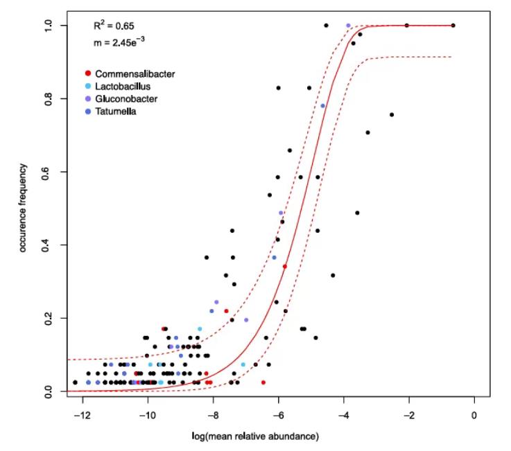 果蠅腸道常見微生物、運動性基因及在宿主中的生態策略