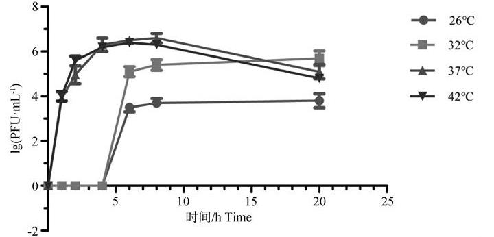 攜帶抗生素耐藥基因沙門菌P1噬菌體-質(zhì)粒效價(jià)、形態(tài)、一步生長曲線及最適溫度（一）