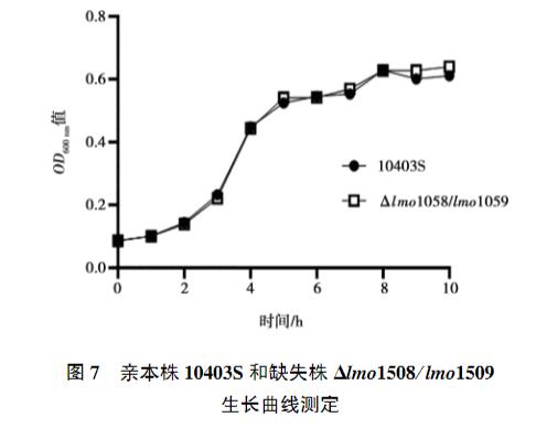 lmo1508/lmo1509基因缺失對單增李斯特菌生長曲線、抗氧化應激能力的影響（四）