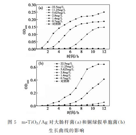 新型納米復合材料介孔m-TiO?/Ag對大腸桿菌和銅綠假單胞菌生長、抑制作用（三）
