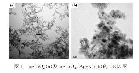 新型納米復合材料介孔m-TiO?/Ag對大腸桿菌和銅綠假單胞菌生長、抑制作用（二）