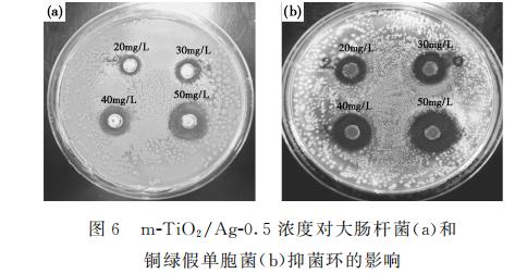 新型納米復合材料介孔m-TiO?/Ag對大腸桿菌和銅綠假單胞菌生長、抑制作用（一）