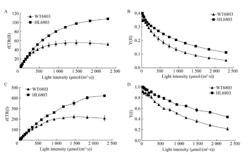 速生集胞藻6803光合放氧速率、生長曲線及基因組分析（三）
