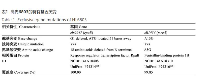 速生集胞藻6803光合放氧速率、生長曲線及基因組分析（四）