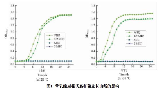 苯乳酸對霍氏腸桿菌生長曲線、細胞凋亡、抑制活性、DNA的影響（一）