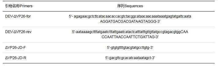 鴨瘟病毒基因缺失株rDEV-ΔVP26生長(zhǎng)曲線、蝕斑面積及免疫原性分析（一）