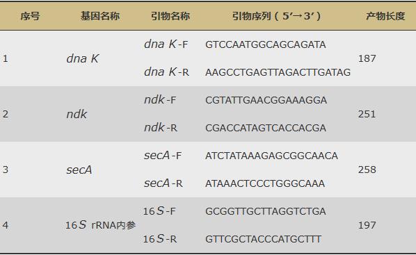 滇黃精水提物促進羅伊氏乳桿菌生長增殖和定植的作用機制（一）