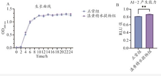 滇黃精水提物促進羅伊氏乳桿菌生長增殖和定植的作用機制（二）