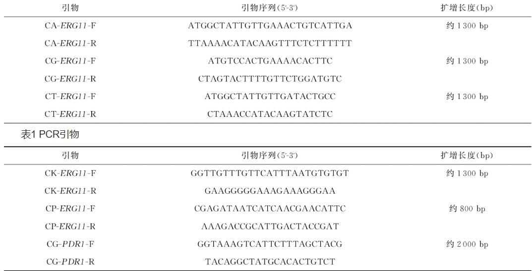 ?新疆地區侵襲性念珠菌感染菌株耐藥性特征及分子機制研究（一）