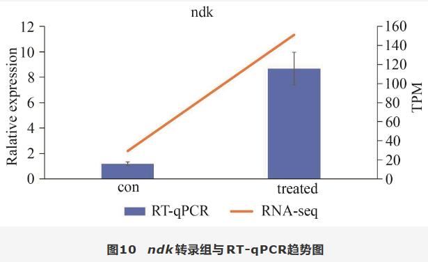 滇黃精水提物促進羅伊氏乳桿菌生長增殖和定植的作用機制（五）