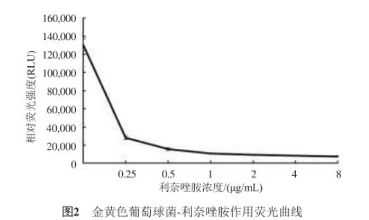 快速藥物敏感性檢測：熒光素酶生物發光法與微量肉湯稀釋法的對比分析（二）