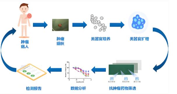 高通量藥敏檢測指導兒童急性白血病個體化治療的初步探索——討論